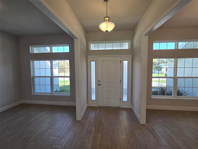 entrance foyer with dark wood-type flooring