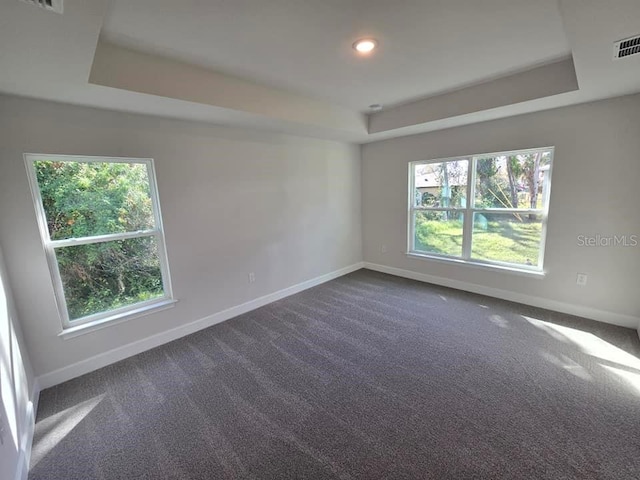 empty room featuring a raised ceiling, plenty of natural light, and baseboards