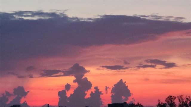 view of nature at dusk