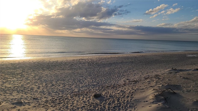 property view of water with a beach view