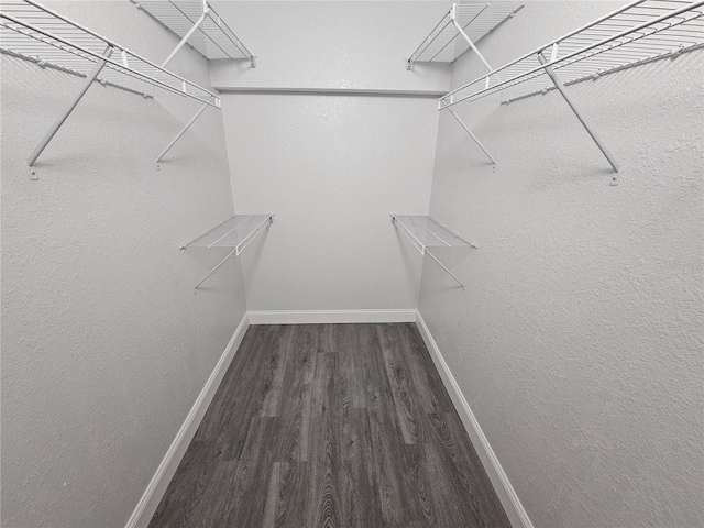 walk in closet featuring hardwood / wood-style floors