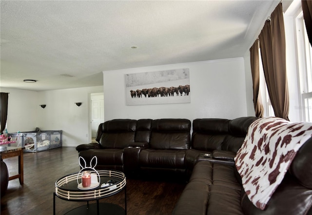 living room with a textured ceiling and dark wood-type flooring