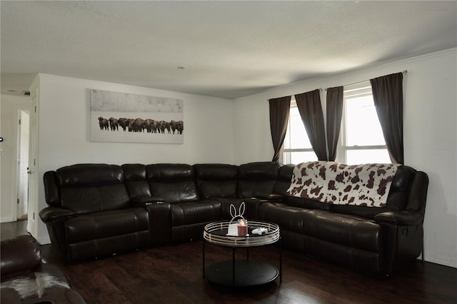 living room with ornamental molding, dark hardwood / wood-style floors, and a textured ceiling