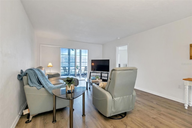 living room with hardwood / wood-style flooring