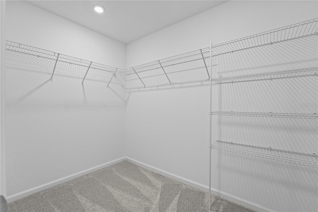 spacious closet with carpet flooring