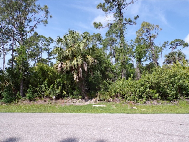 Listing photo 2 for 1627 Shilo St, Punta Gorda FL 33980