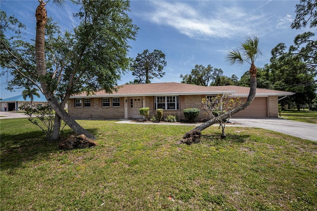 ranch-style house featuring a front yard