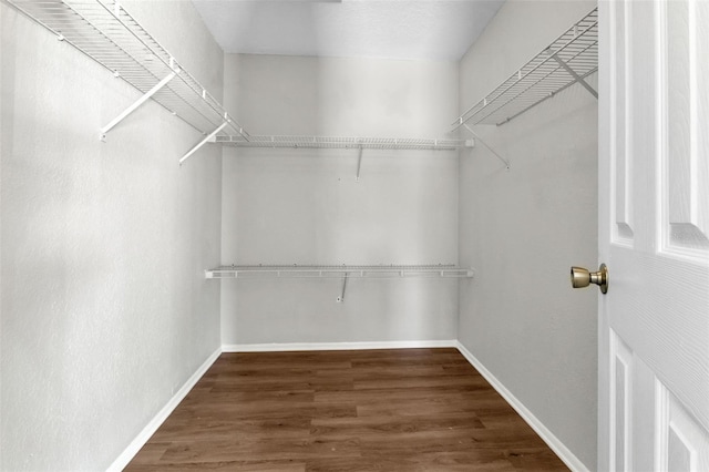 walk in closet with dark wood-type flooring