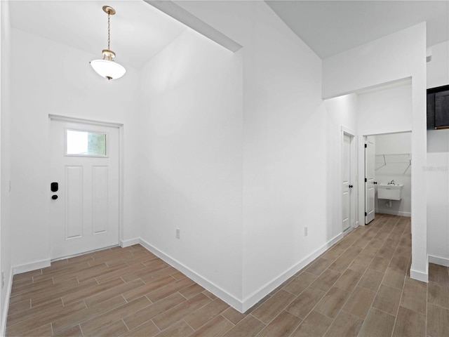 foyer featuring wood-type flooring