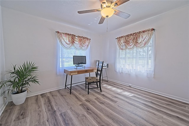 office featuring ceiling fan and wood-type flooring