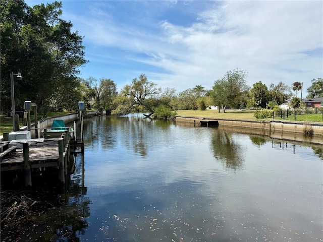 dock area with a water view