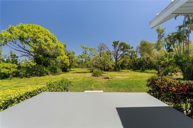 view of yard with a patio