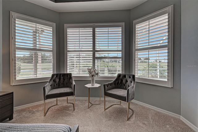 sitting room featuring carpet floors and a wealth of natural light