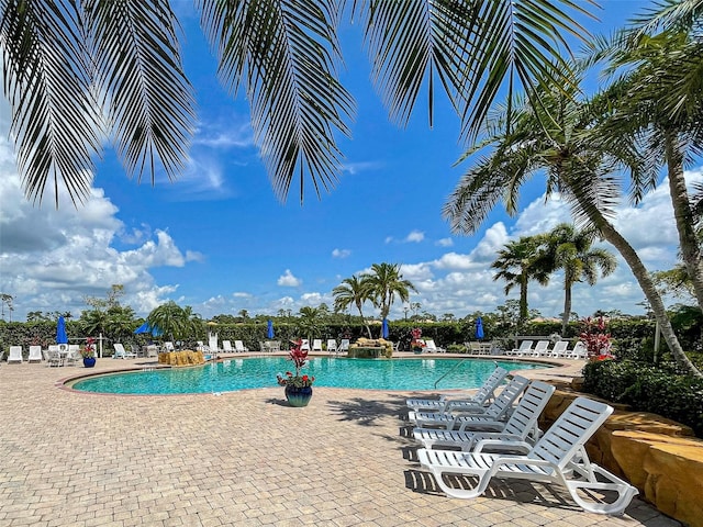 view of swimming pool with a patio