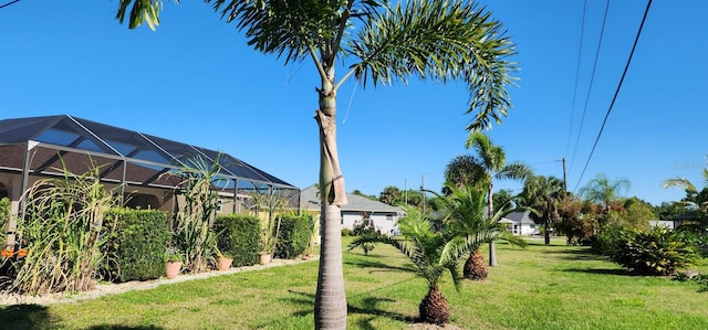 view of yard with a lanai