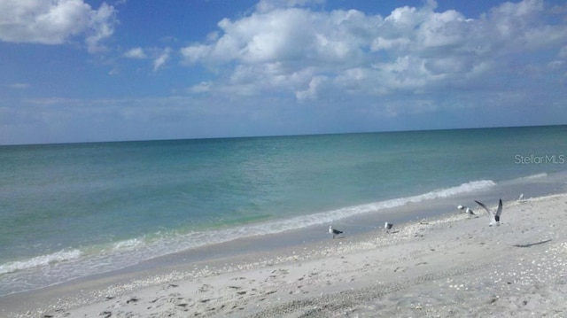 view of water feature featuring a view of the beach