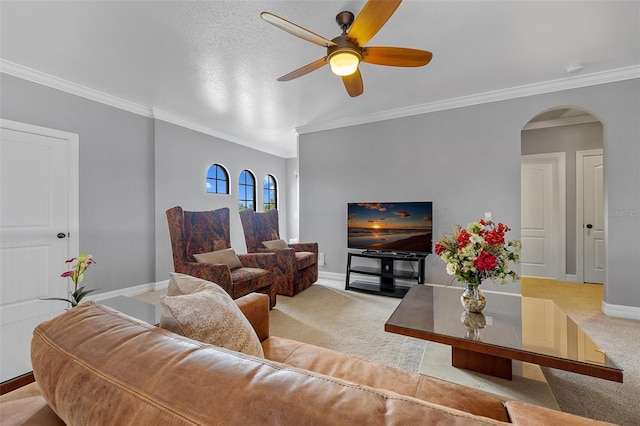 living room with ceiling fan, crown molding, and carpet flooring