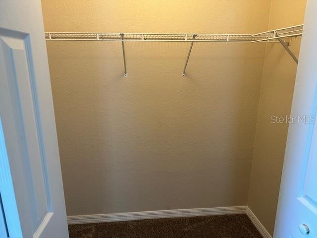 walk in closet with carpet floors