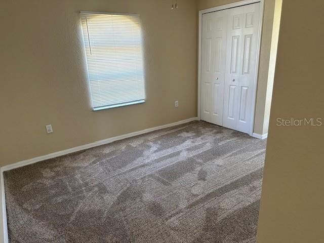 unfurnished bedroom with carpet flooring, a closet, and multiple windows