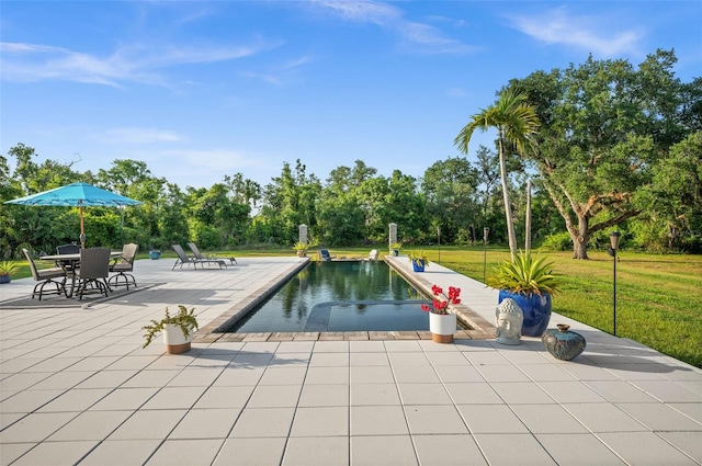 view of swimming pool with a patio area and a yard