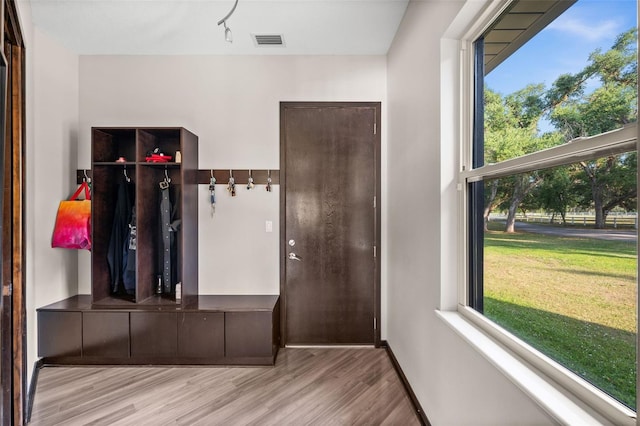 mudroom with wood-type flooring