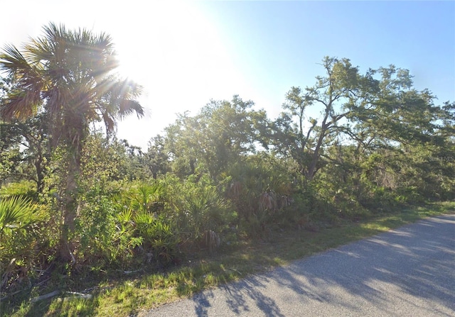 Listing photo 3 for Santa Rosa St, North Port FL 34287