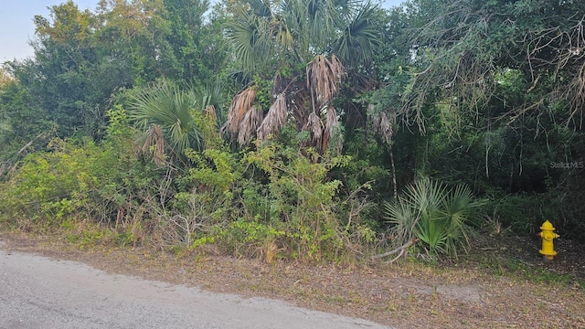 27079 Neaptide Dr, Punta Gorda FL, 33983 land for sale