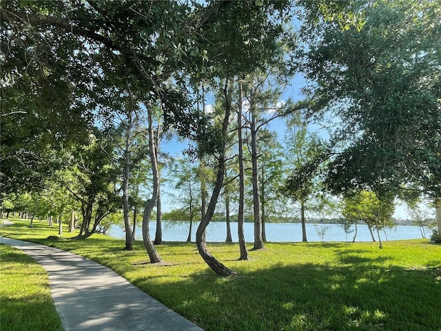 view of property's community with a water view and a lawn