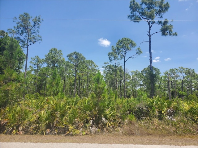 27478 Las Lomas Dr, Punta Gorda FL, 33955 land for sale