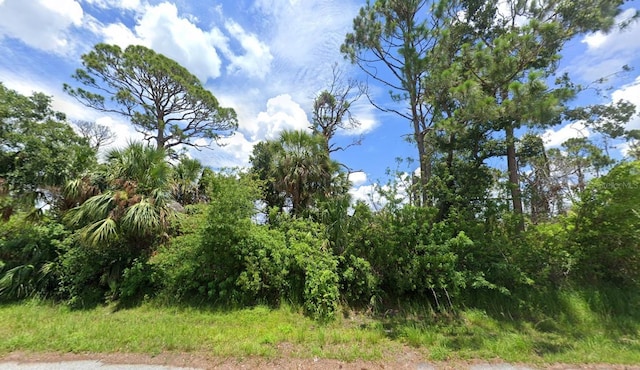 3116 Montgomery Dr, Port Charlotte FL, 33981 land for sale