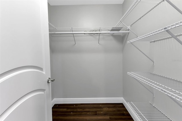 walk in closet featuring hardwood / wood-style floors