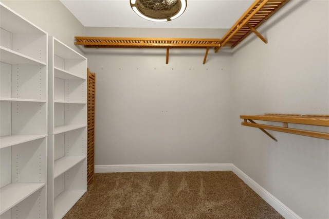 spacious closet with carpet floors