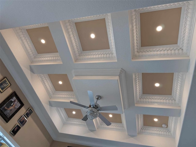 interior details featuring crown molding, coffered ceiling, and ceiling fan