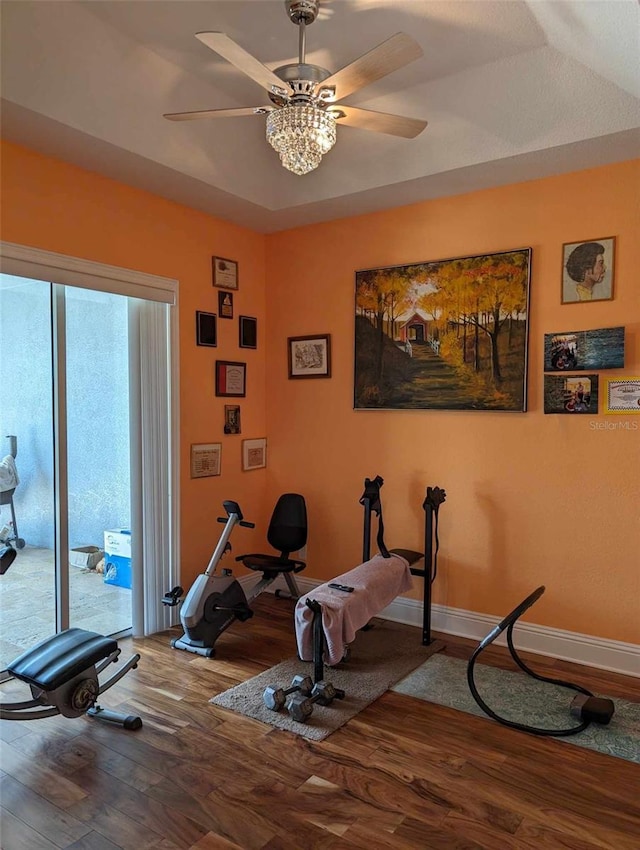 exercise room featuring a healthy amount of sunlight, ceiling fan, and hardwood / wood-style floors