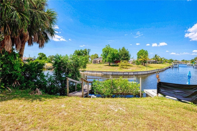 water view featuring a boat dock