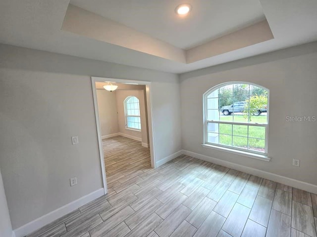 spare room with light hardwood / wood-style floors, a healthy amount of sunlight, and a raised ceiling