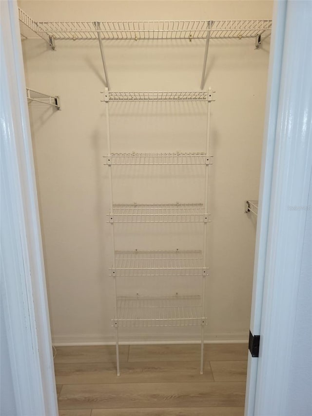 walk in closet with hardwood / wood-style flooring