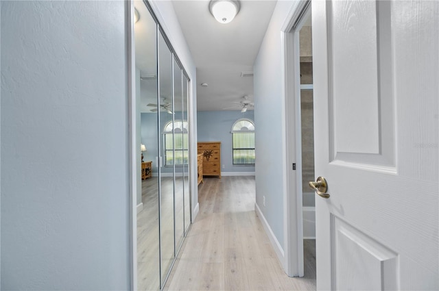 hallway featuring light hardwood / wood-style flooring