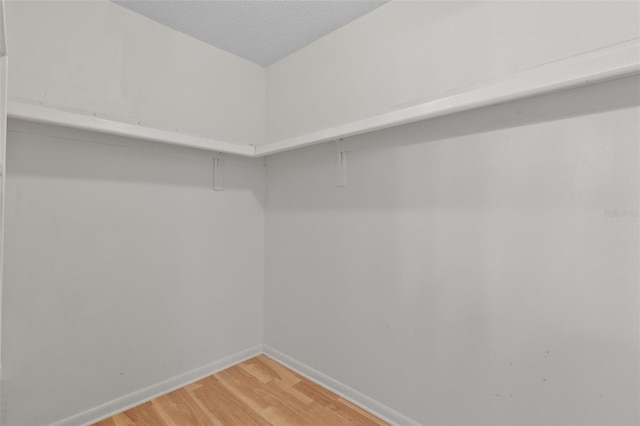 walk in closet featuring light wood-type flooring