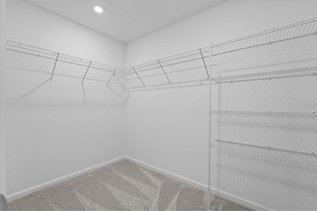 spacious closet with carpet