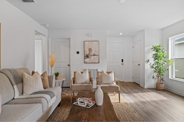 living room featuring light wood-type flooring and plenty of natural light