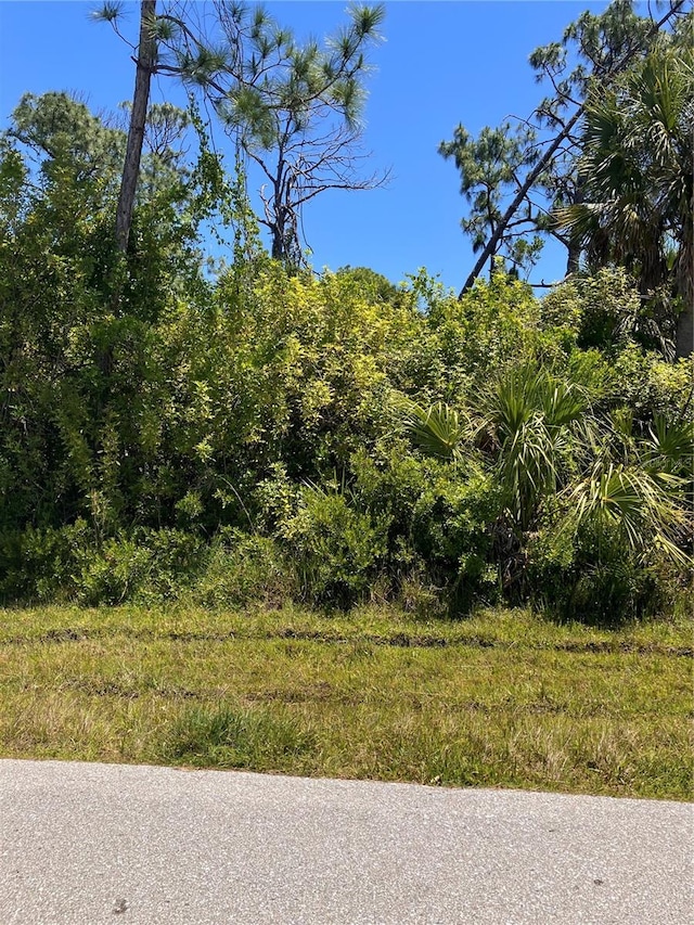 6146 Tedder St, Port Charlotte FL, 33981 land for sale