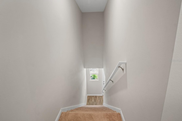 staircase with carpet flooring