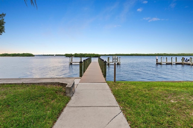 dock area with a water view