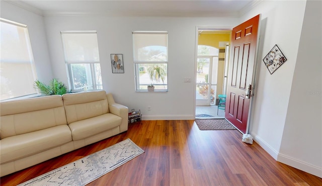 entryway featuring crown molding and dark hardwood / wood-style floors