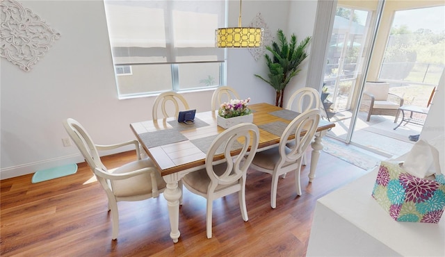 dining space featuring hardwood / wood-style flooring and a healthy amount of sunlight