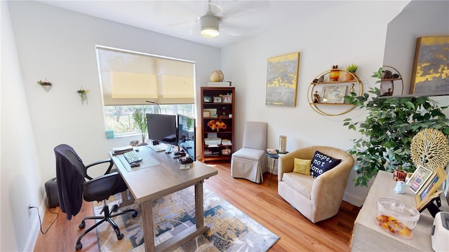 office with ceiling fan and light hardwood / wood-style flooring