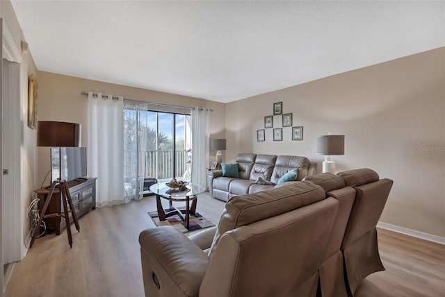 living room with hardwood / wood-style floors