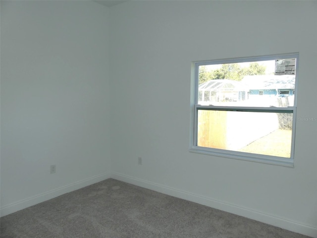 spare room featuring carpet