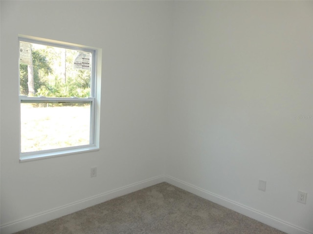 unfurnished room featuring carpet and a healthy amount of sunlight